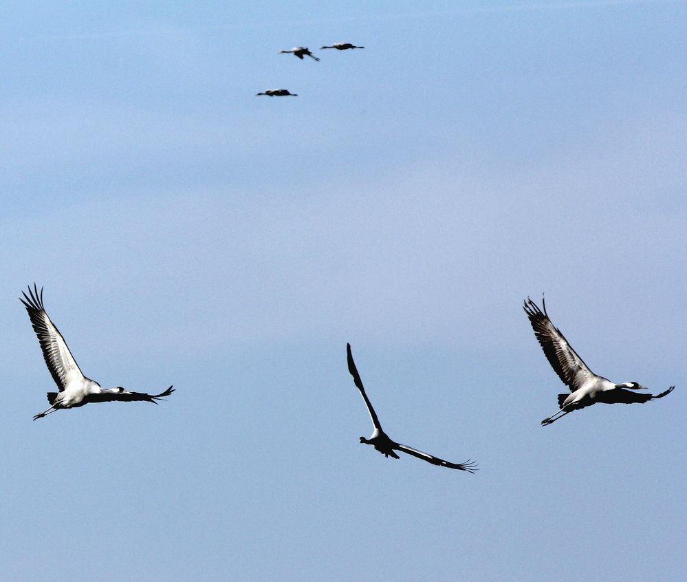 geregelter Flugverkehr