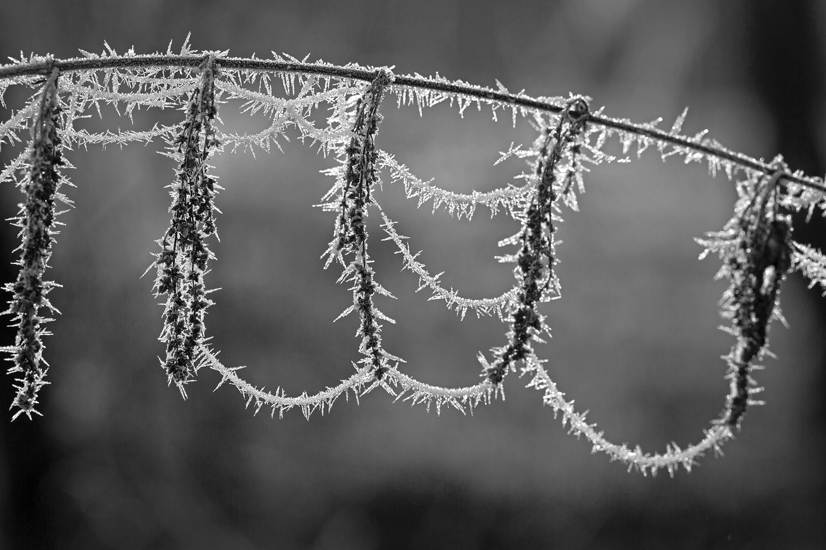 "gereifter" Winterschmuck