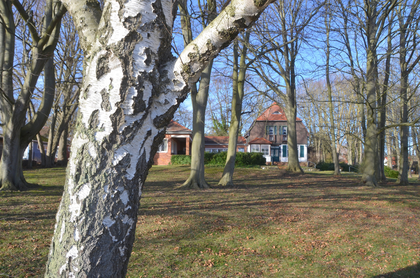 Gerhart Hauptmann Haus  im Feb.