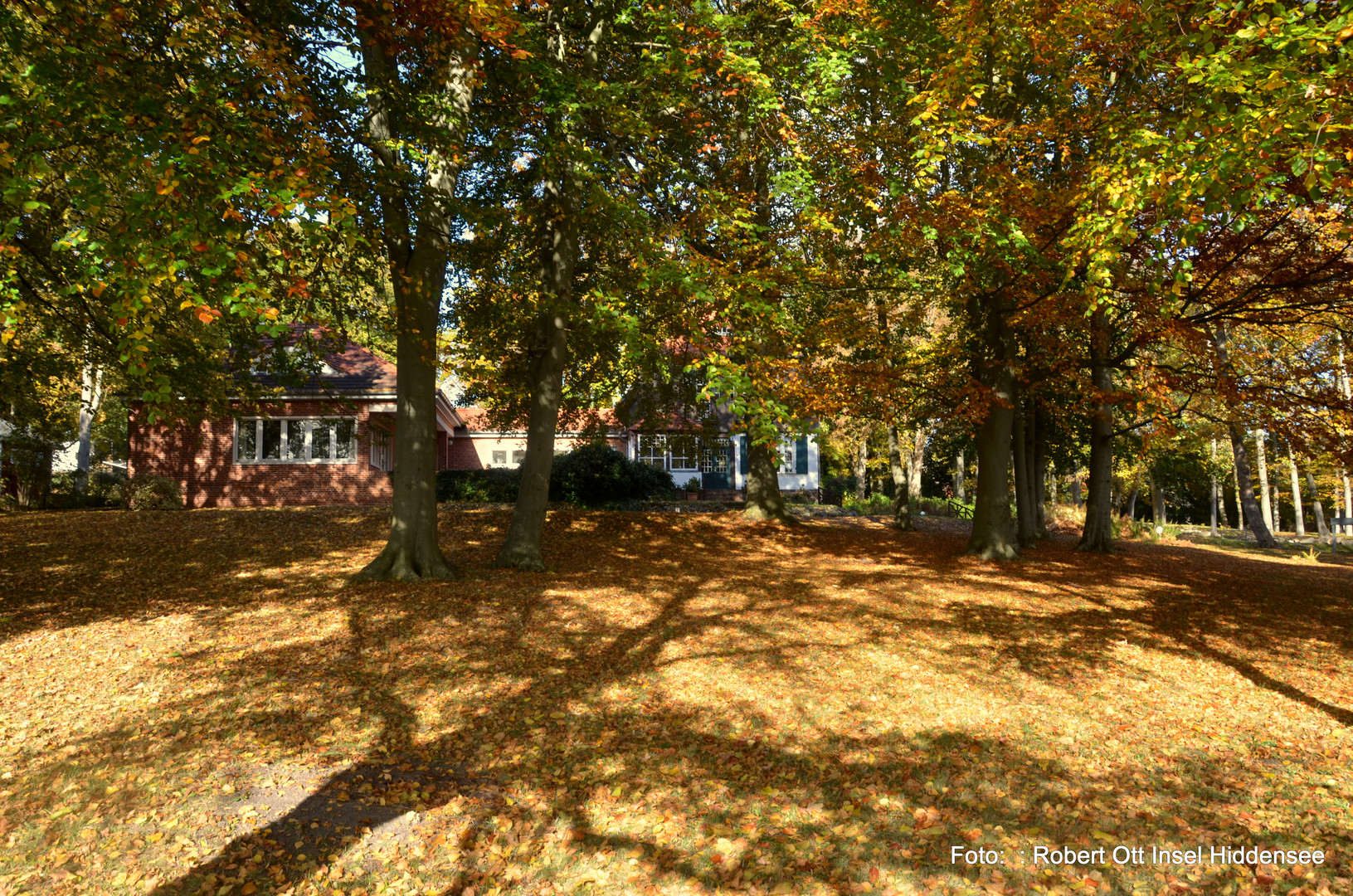 Gerhart-Hauptmann im Herbst