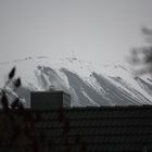 Gerippe vom Weihnachtsbaum auf verschneitem Kaliberg in Bokeloh