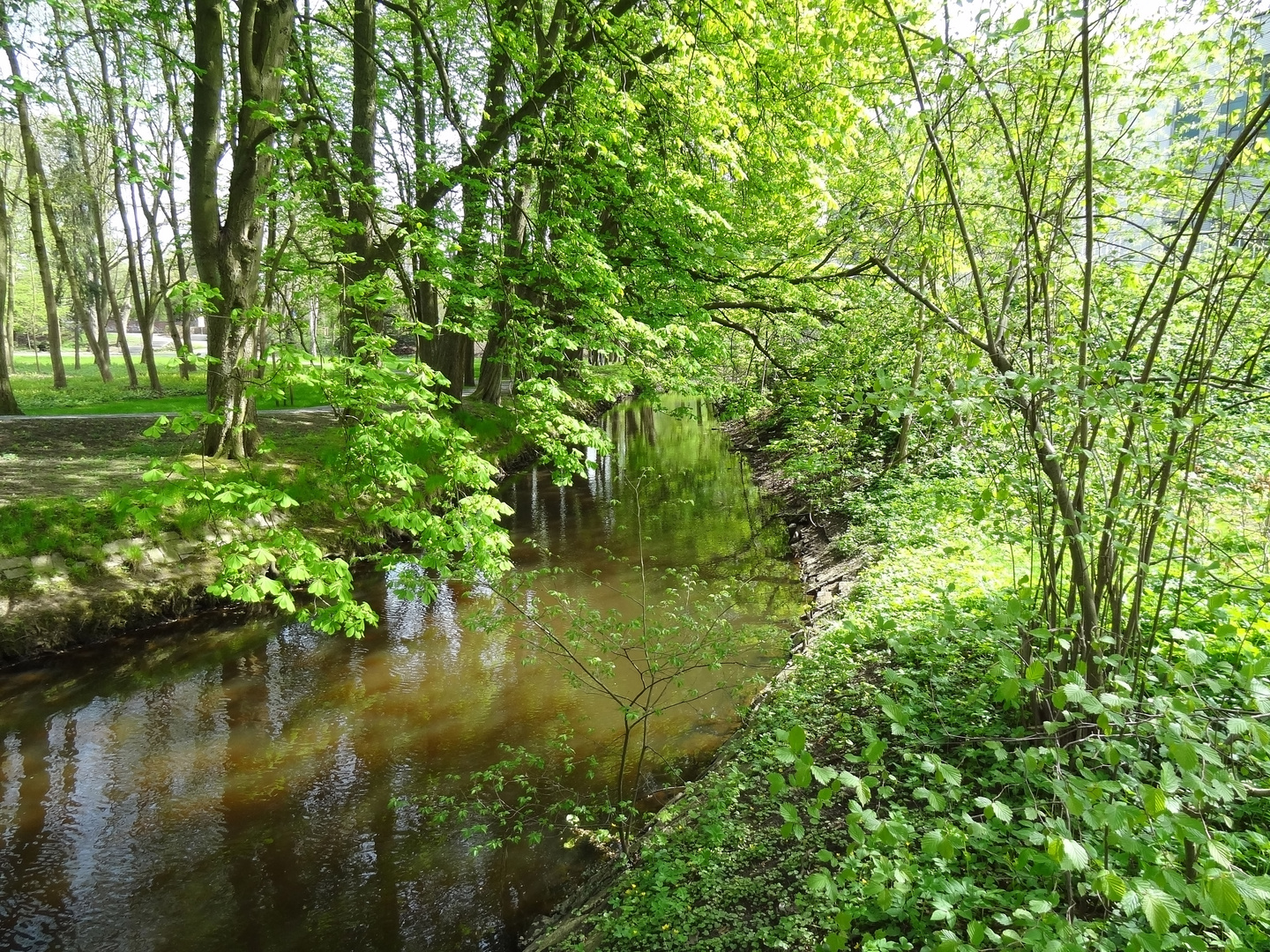 Gerisch-Park Neumünster