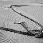 Gerissenes Tau am Strand, Wales