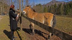 Gerlinde mit Wildpferd