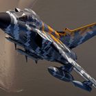 German Air Force - Tornado - Tigermeet Painting