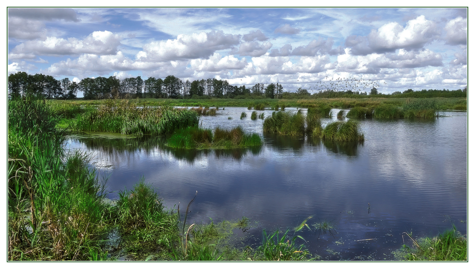 german everglades