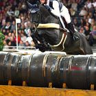 German Masters Indoor 2013-Michael Jung