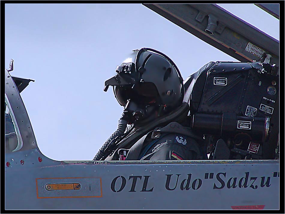 German Mig 29 Pilot