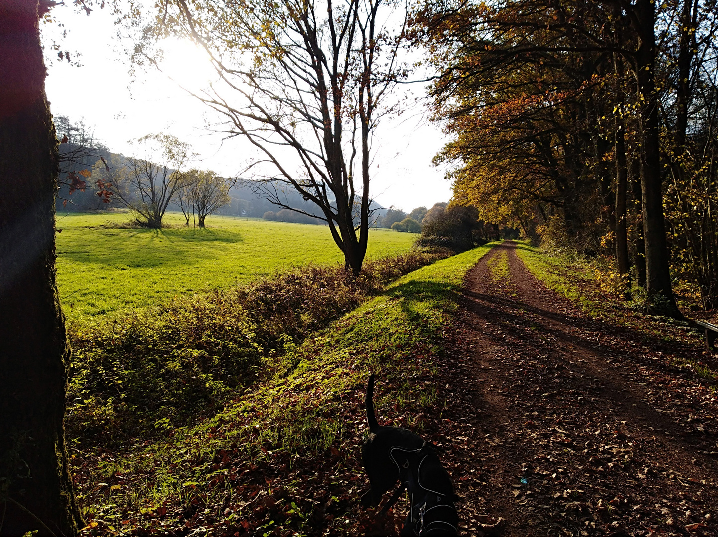 German Nature 