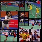 German Open 2010 - Badminton