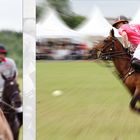 GERMAN POLO MASTERS SYLT 2010 3