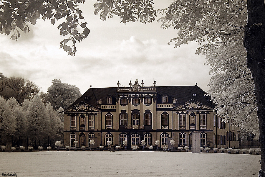 German Schloss Molsdorf