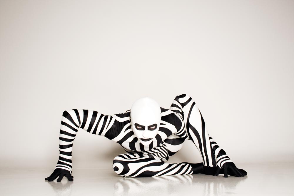 german wheel zebra I