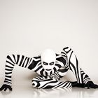 german wheel zebra I