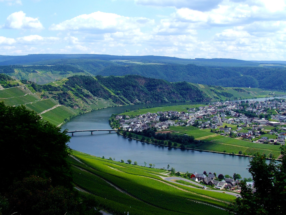 Germania La valle della Mosella Foto