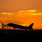 GermanWings Airbus A319