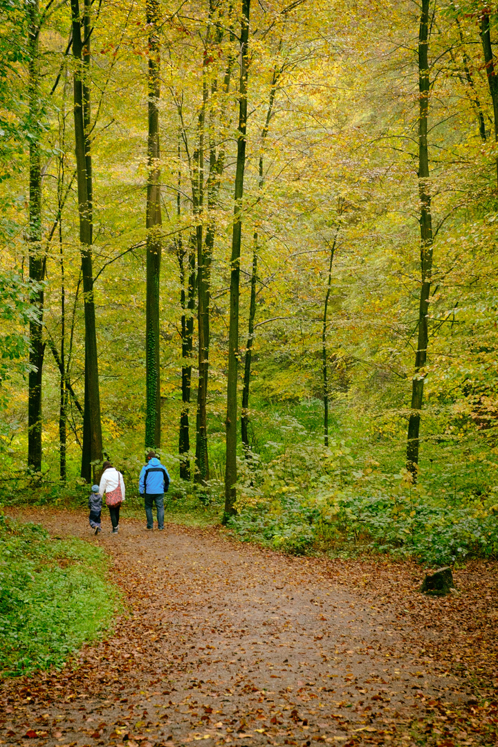 Germany | A family walk