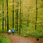 Germany | A family walk