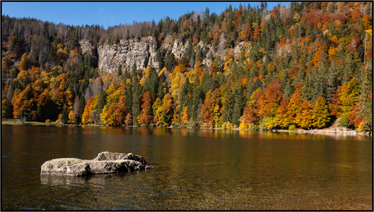 Germany | Feldsee |