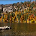 Germany | Feldsee |