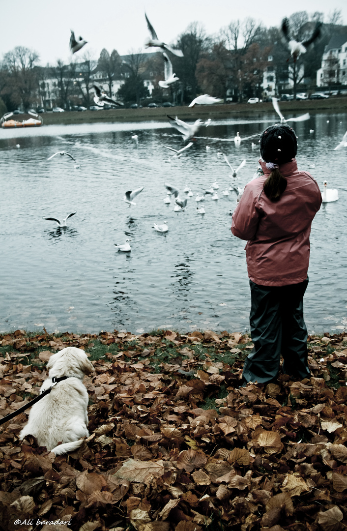 Germany,kiel