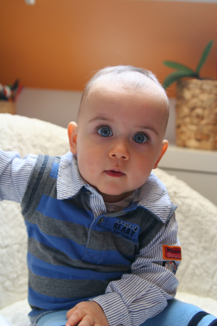 Germany´s next Top-Babymodel....