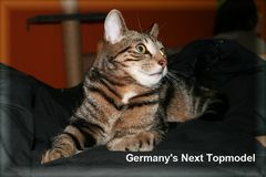 Germany's Next Topmodel