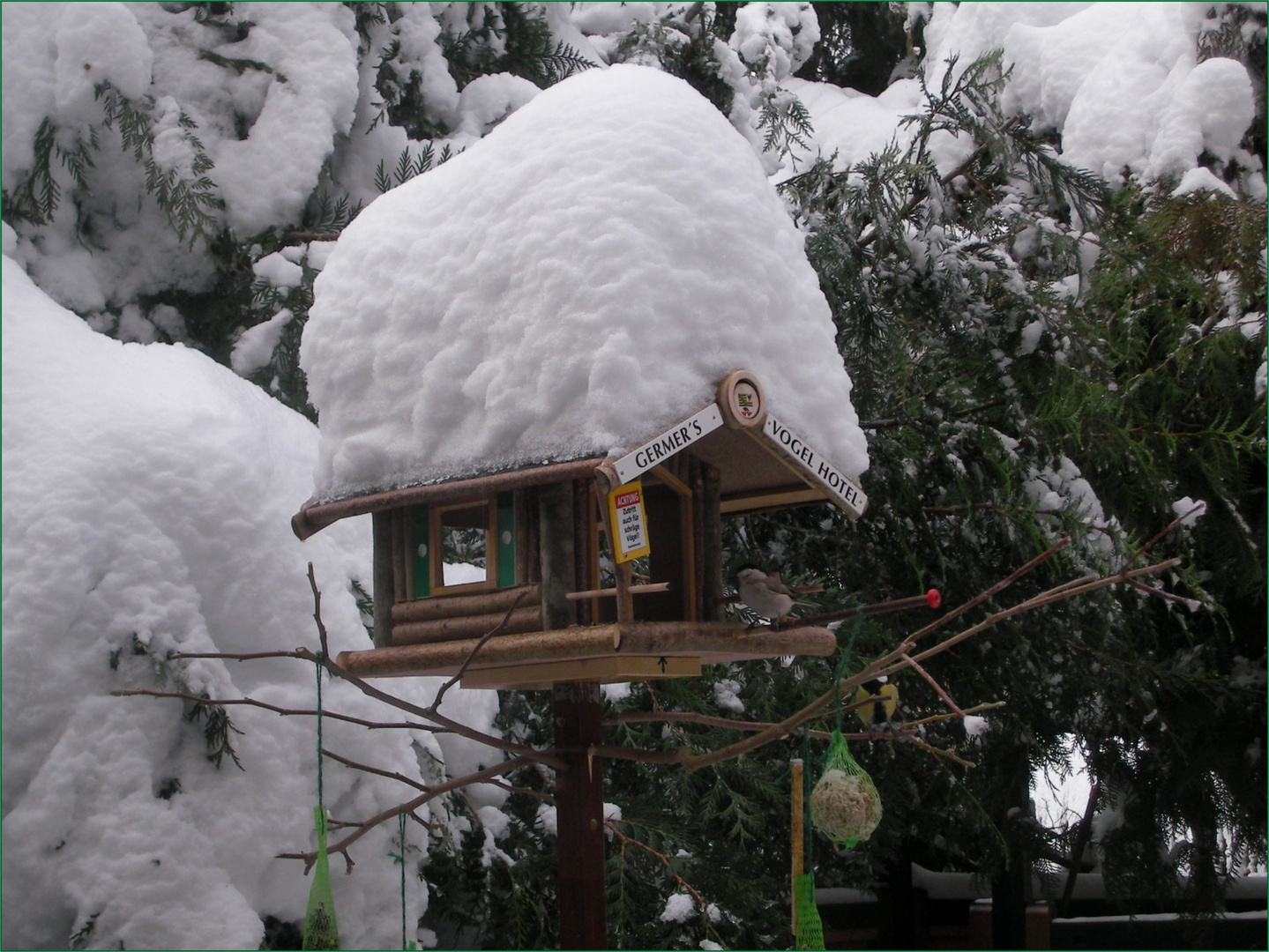 Germers Vogelhotel