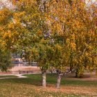 Germignaga, giardini pubblici