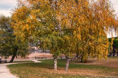 Germignaga, giardini pubblici