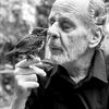 Gernot Schwarz