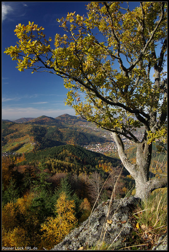 Gernsbacher Herbstlandschaft