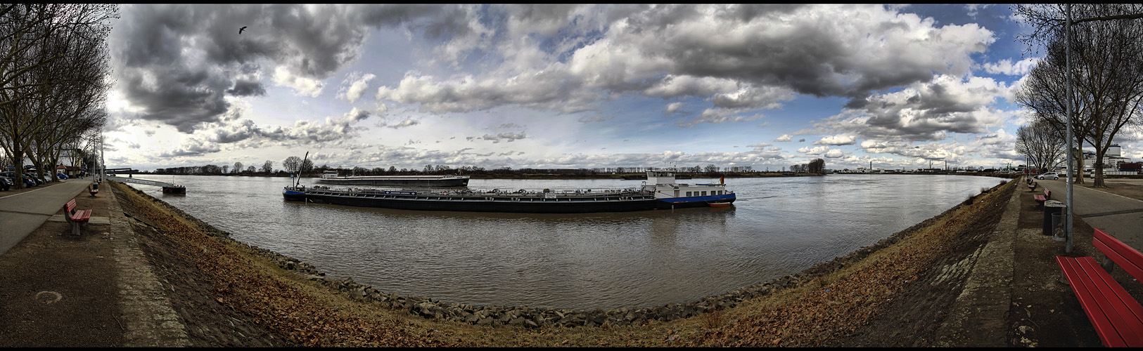 Gernsheimer Rhein Promenade 180°