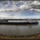 Gernsheimer Rhein Promenade 180°