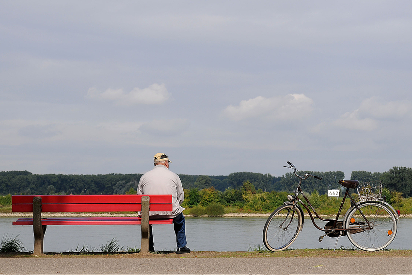 Gernsheimer Rheingucker