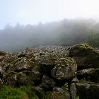 Geröllhalde am Col du Page, Vogesen