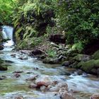 Geroldsau - Der Wasserfal und die Rhododendren