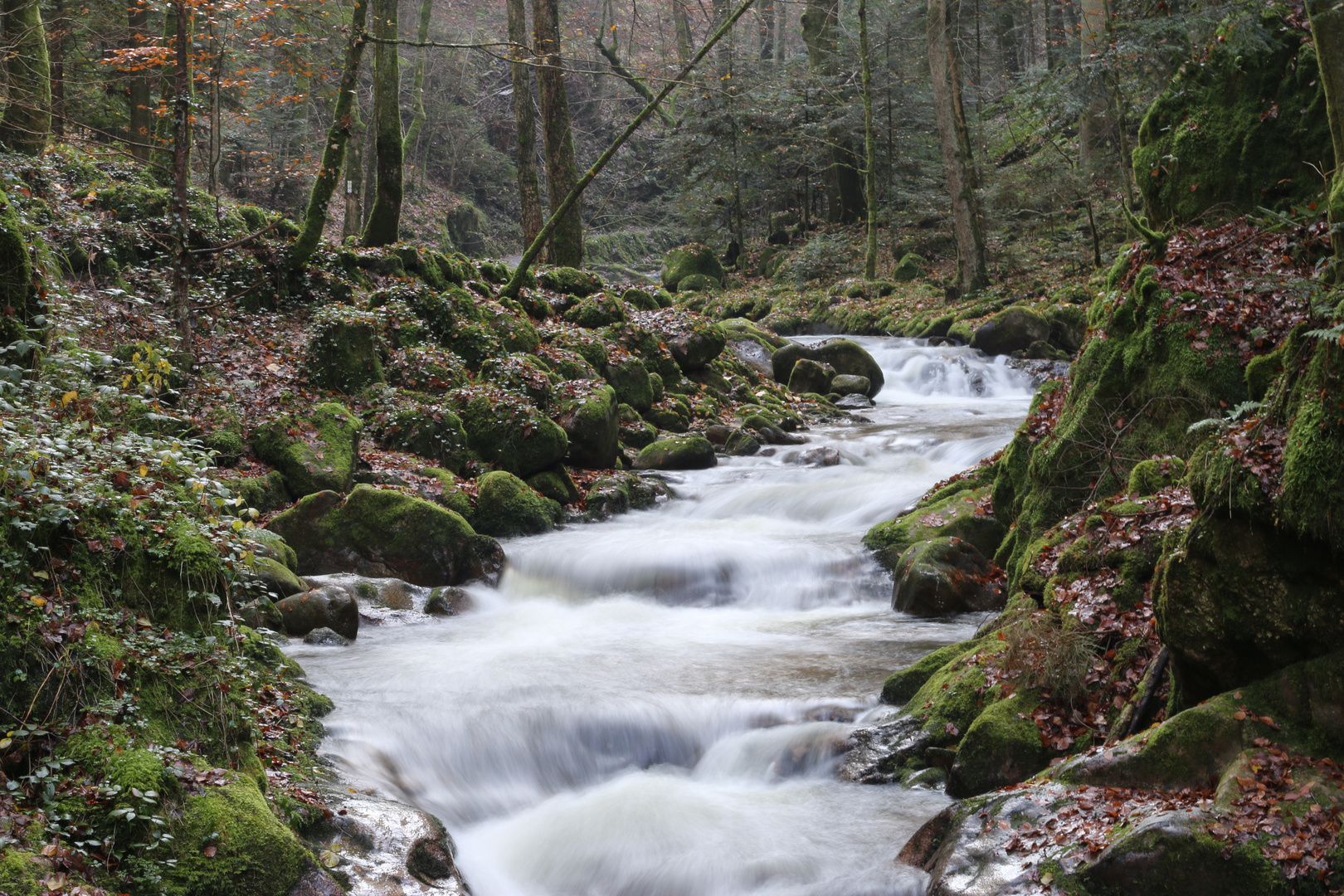 Geroldsau Grobbach