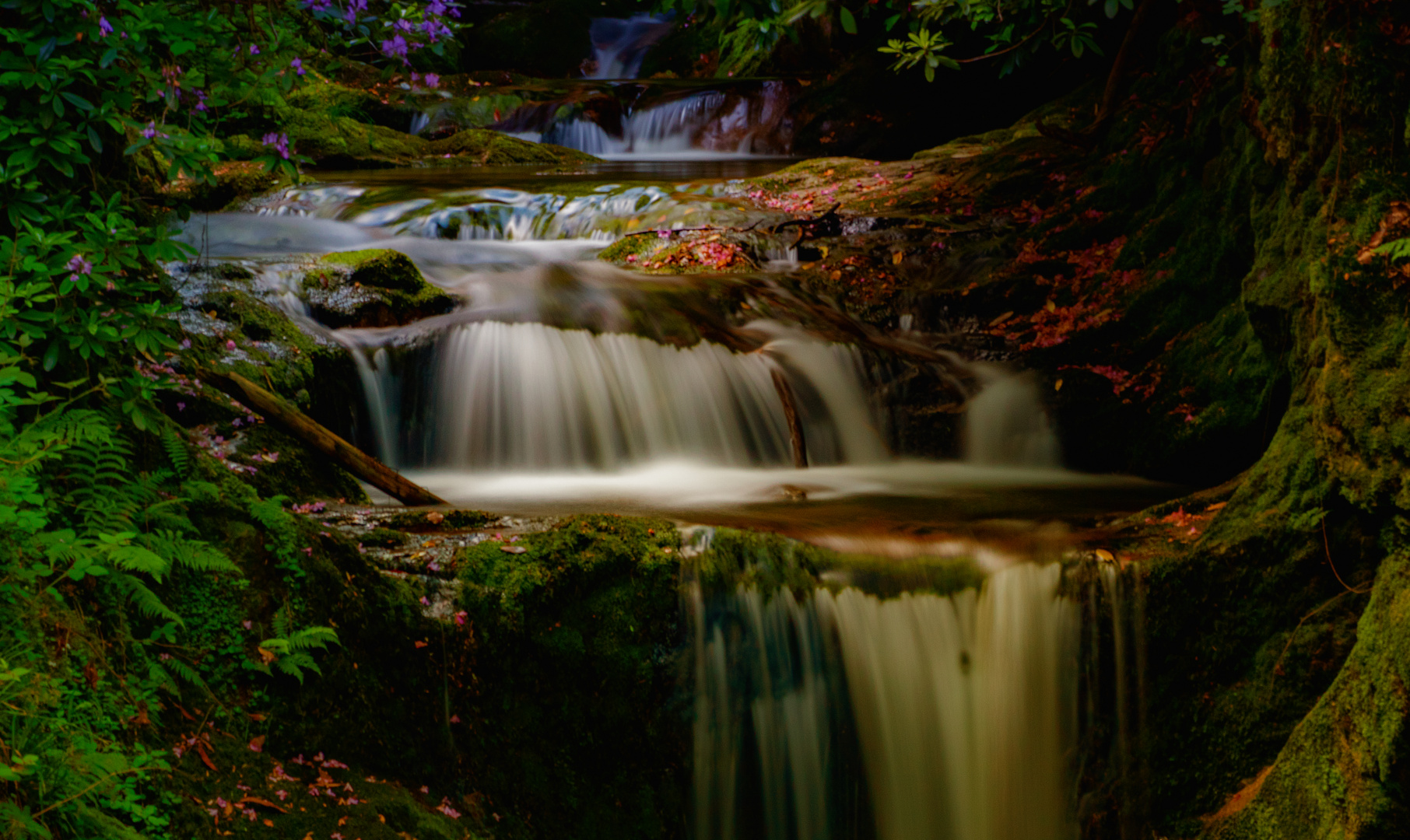 Geroldsau Wasserfall