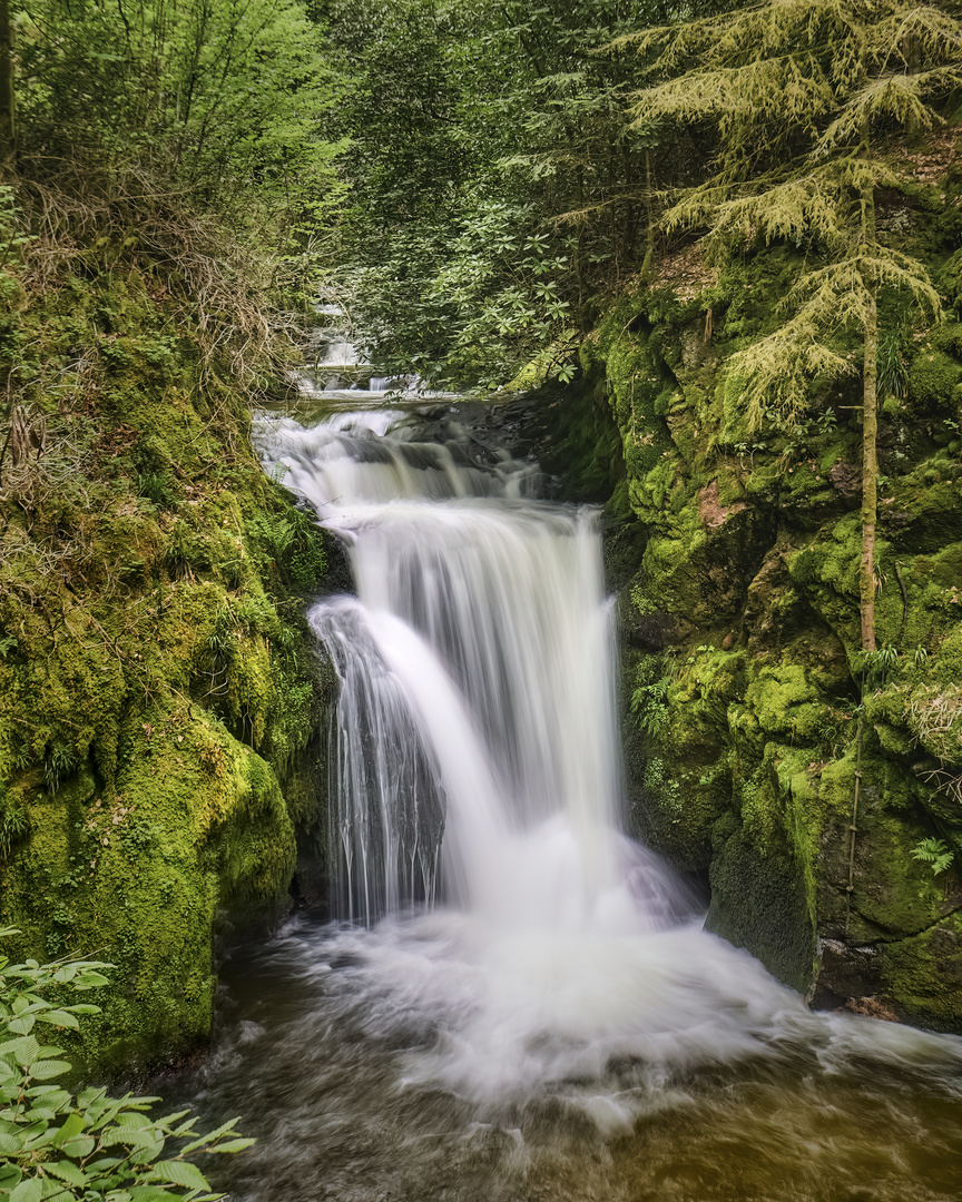 Geroldsauer Wasserfall | Nord-Schwarzwald