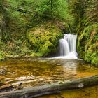 Geroldsauer Wasserfall | Nord-Schwarzwald