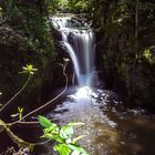 Geroldsauer Wasserfall, Schwarzwald