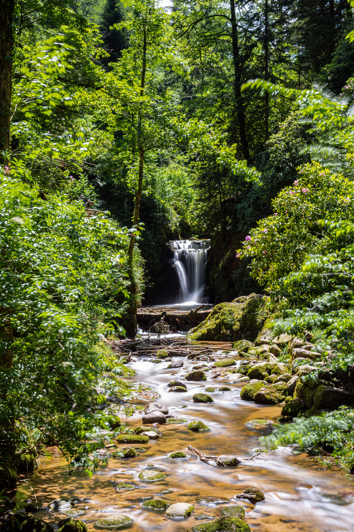 Geroldsauer Wasserfall, Schwarzwald