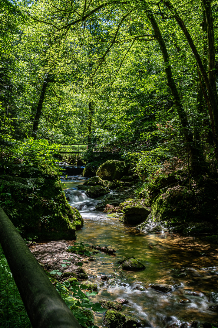 Geroldsauer Wasserfall, Schwarzwald