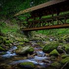 Geroldsauer Wasserfallweg