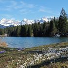 Geroldsee