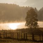 Geroldsee im Nebel