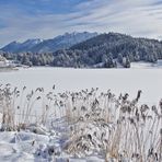 Geroldsee im Winter 3