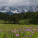 Geroldsee_3713 