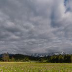 Geroldsee_3714 